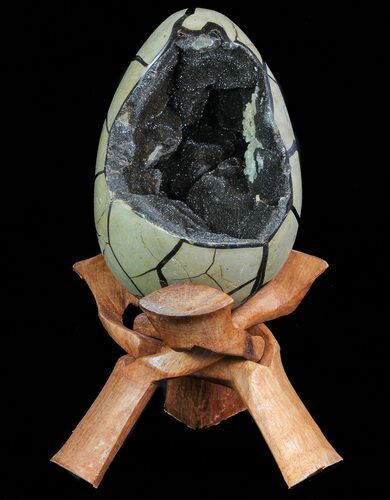 Septarian Dragon Egg Geode - Black Crystals #71987